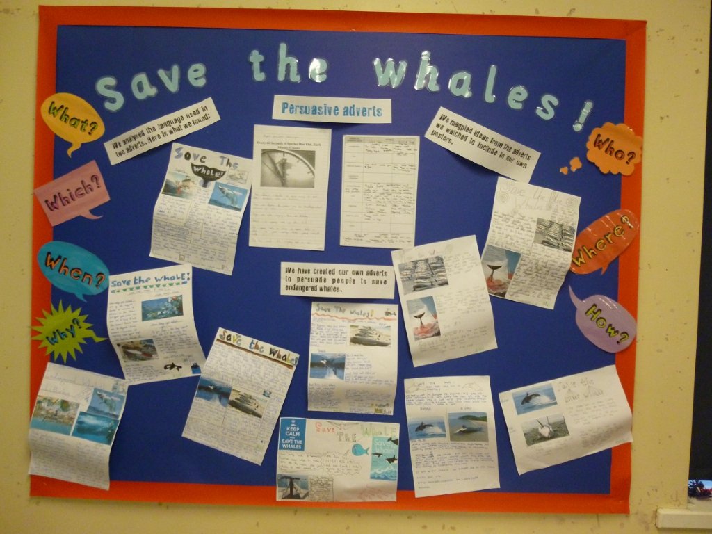 Save the whales display