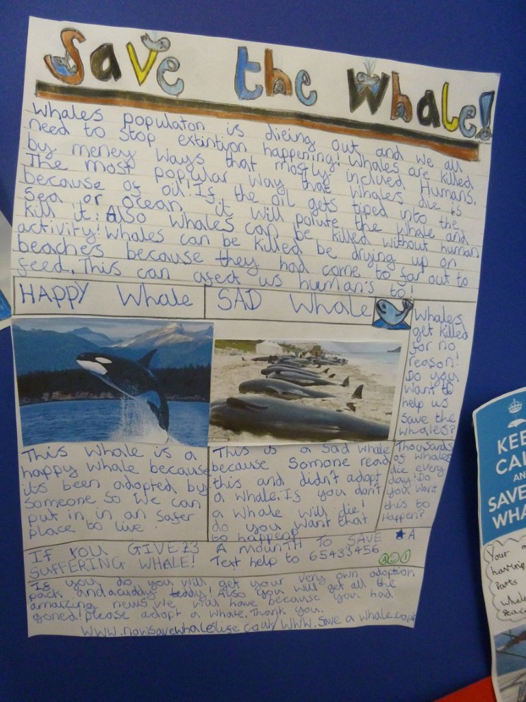 Save the whale poster