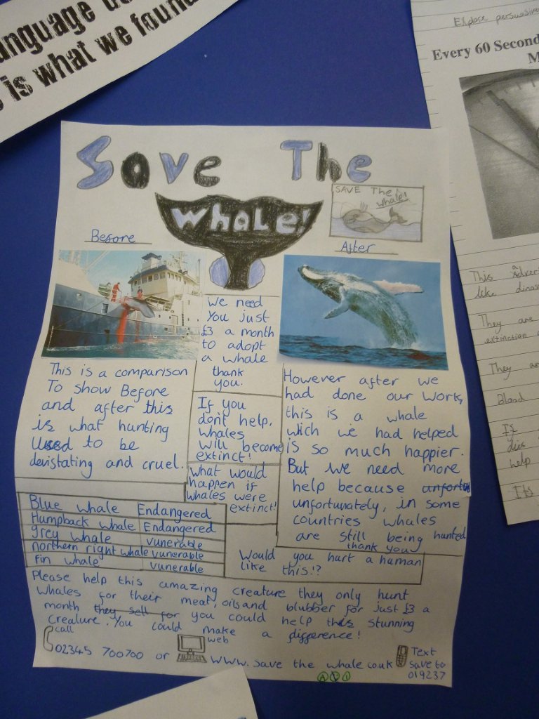 Save the whale poster